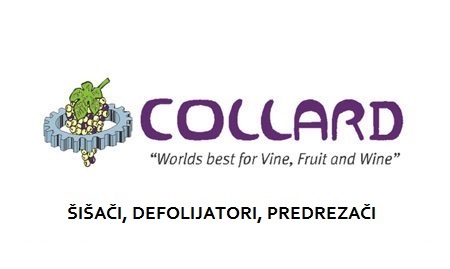 Collard