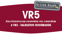 VR5